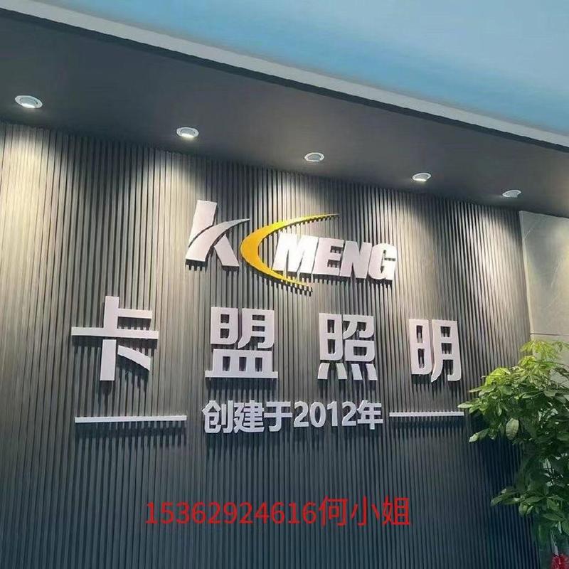 卡盟照明专业生产led户外亮化产品#源头工厂#户外亮化#洗墙灯#线条